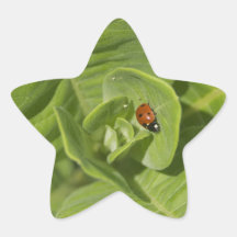 Marienkäfer-Aufkleber