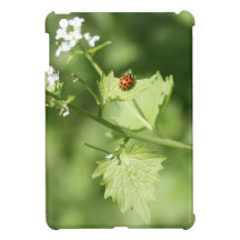 Marienkäfer...Glückskäfer