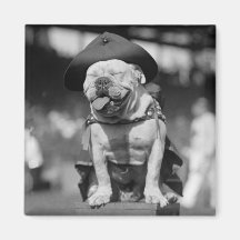 Marineinfanteriekorps Maskottchen, Zwanzigerjahre Kühlschrankmagnete