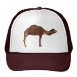 Marokkanischer Kamel-Hut Truckerkappen