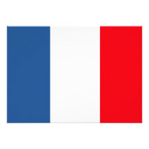 Martinique-Flagge Individuelle Ankündigungskarte