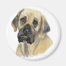 Mastiff-Kühlschrankmagnet