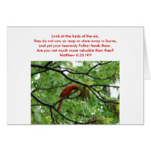 Matthew-6:26, -Kardinalu. -zederWaxwing Karte