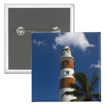 Mauritius, Western Mauritius, Schönheit Vue, Albio Buttons