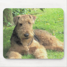 Mausunterlage Airedales Terrier Mauspads