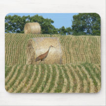 Mausunterlage, Fotografie, ländlich, Vogel Mauspads