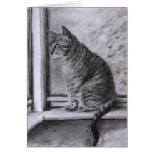 Maximal die Katzen-Karte