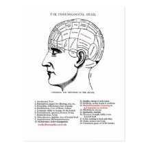 Medizinische Menschlichkeits-Phrenologie Postkarten