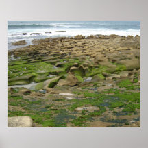 Meerblickfoto-Plakatdruck