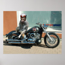 Meerhorse Radfahrerplakat