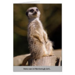 Meerkat Attenborough Alarm Grußkarte