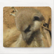 Meerkat Bild Mauspad