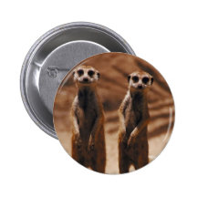Meerkat Duo Anstecknadelbuttons