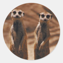 Meerkat Duo Sticker