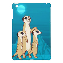 Meerkat Familie am Mondschein