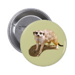 Meerkat Geschenk Anstecknadel