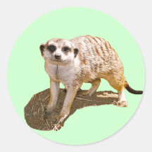 Meerkat Geschenk Stickers