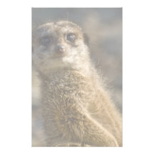 Meerkat Personalisiertes Druckpapier