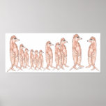 Meerkat Plakate u. Drucke