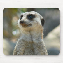 Meerkat Schauen Mousepads