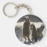 Meerkat Schlüsselanhänger