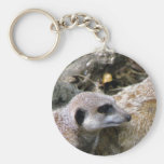 Meerkat Schlüsselband