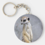 Meerkat Schlüsselbänder