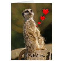 Meerkat Valentinsgruß-Karte 007