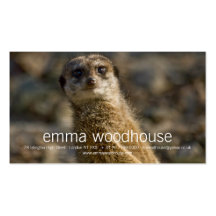 Meerkat Visitenkartenvorlagen