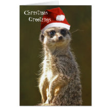 Meerkat Weihnachtsgruß-Karte