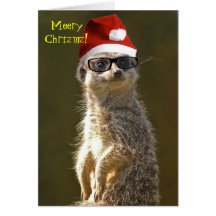 Meerkat Weihnachtskarte