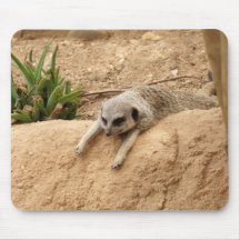 Meerkat zu heißem mauspad