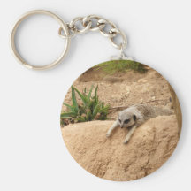 Meerkat zu heißem schlüsselanhänger