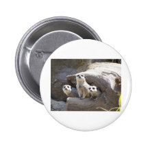 Meerkats Anstecknadelbuttons
