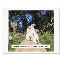 Meerkets gegen Verschmutzung Kunstfoto