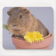 Meerschweinchen in einem Flowerpot Mousepad