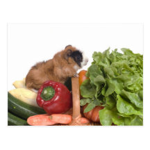 Meerschweinchen in einem Korb des Gemüses Postkarten