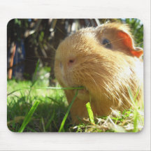Meerschweinchen Maus-Auflage Mauspads