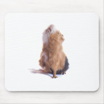 Meerschweinchen, Mauspad