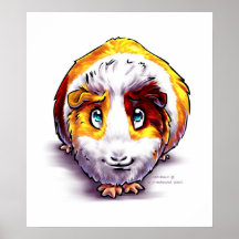 Meerschweinchen Posterdrucke