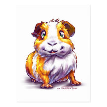 Meerschweinchen Postkarten