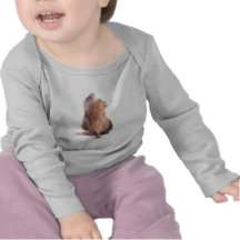 Meerschweinchen, Shirts
