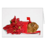 Meerschweinchen-Weihnachtspost Karte