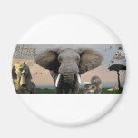 (mehrfache Produkte ausgewählt) Afrika Magnete
