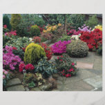 Mehrfarbiger Garten mit Weg Flyer Druck