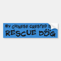 Mein chinesisches mit Haube ist ein Rettungs-Hunde