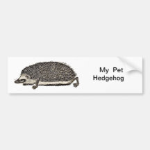 Mein Haustier-Igel Autosticker