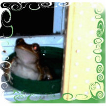 mein Haustierfrosch Photoskulptur