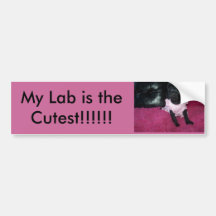 Mein Labrador ist!!!!! das niedlichste! Auto Sticker