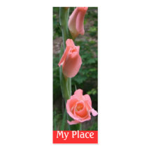 Mein Platz Gladiola Buch-Kennzeichen Visitenkarten